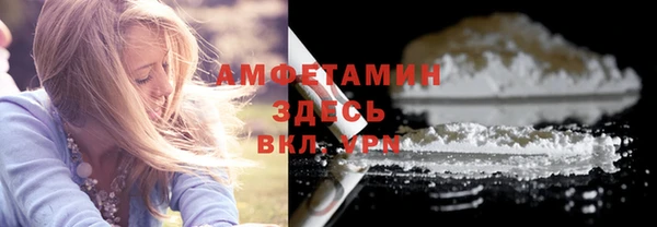 твердый Арсеньев