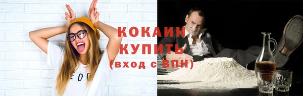 твердый Арсеньев