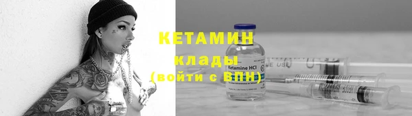 твердый Арсеньев
