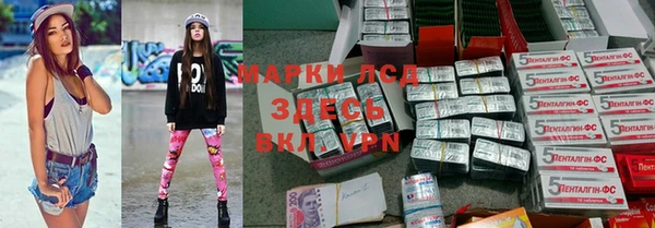 твердый Арсеньев