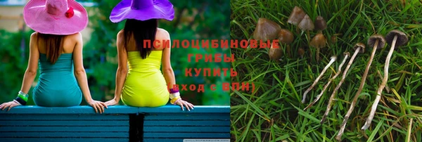 твердый Аркадак