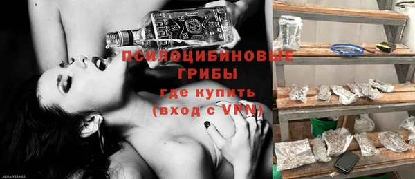 твердый Аркадак